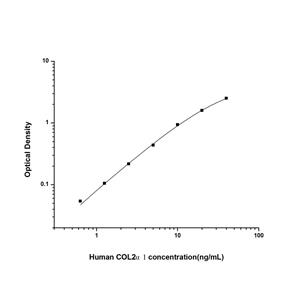 人Ⅱ型胶原α1(COL2α1)ELISA试剂盒 YB74220Hu,COL2α1