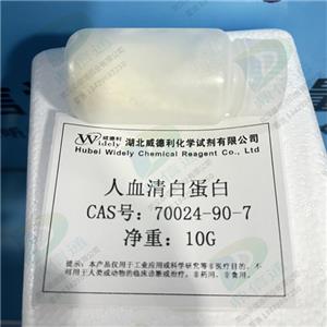 人血清白蛋白,Albumin from human serum