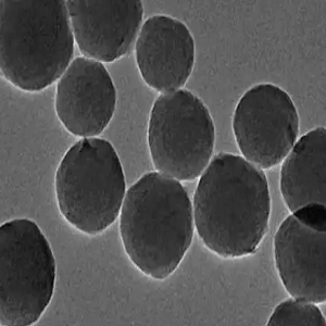 羧基磁珠100nm,Carboxylated Magnetic Beads