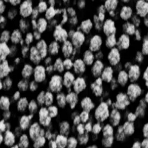 链霉亲和素修饰磁性纳米颗粒50nm,Streptavidin-Modified Magnetic Nanoparticles