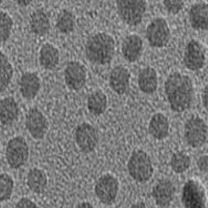 PEG修饰磁性纳米颗粒，PEGylated Magnetic Nanoparticles