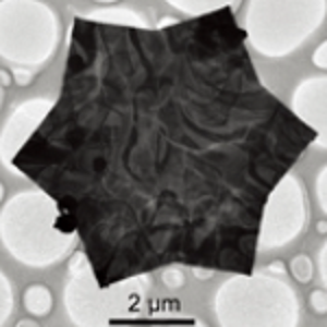 金纳米片,gold nanoplates