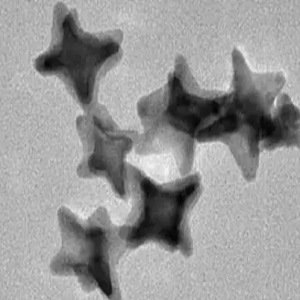 金纳米星,gold nanostars