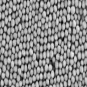 PEI修饰金纳米颗粒50nm，PEI-coated gold nanoparticles