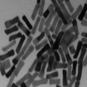 PEG-GNRs，PEG修饰金纳米棒，PEG-modified gold nanorods