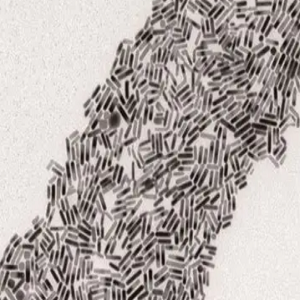 SC-GNRs，柠檬酸钠修饰金纳米棒，Citrate-coated gold nanorods