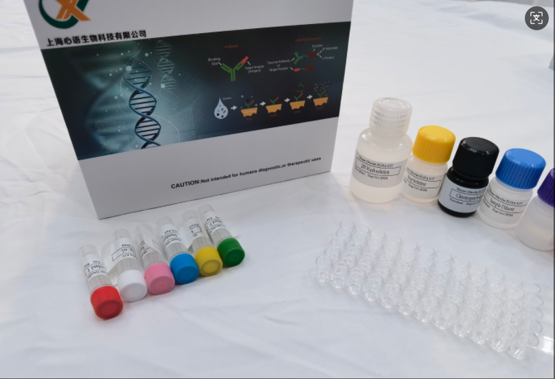 小鼠整合素α-IIb (Itga2b/CD41) ELISA试剂盒,Mouse Itga2b(Integrin alpha-IIb) ELISA Kit