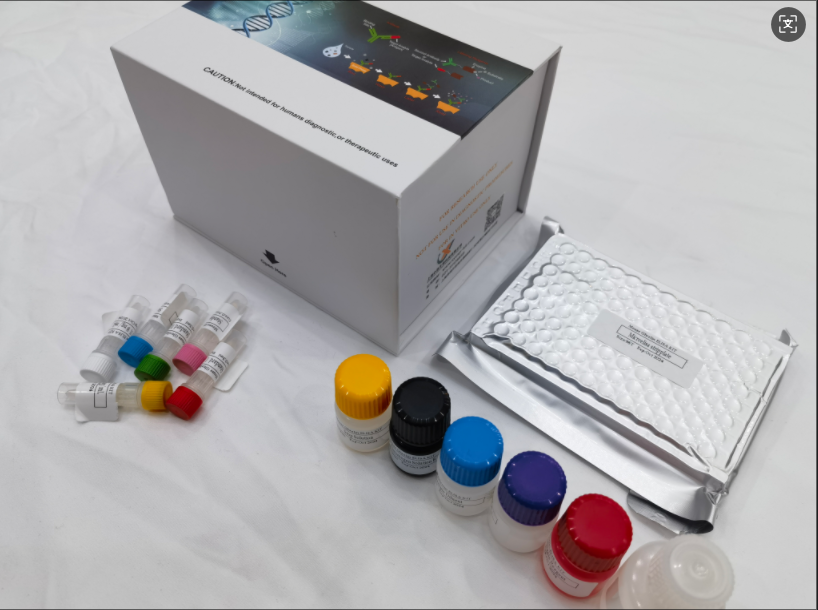 小鼠kappa型阿片受体(OPRk1)快速检测ELISA试剂盒,Mouse Oprk1 (Kappa-type opioid receptor) QuickTest ELISA Kit