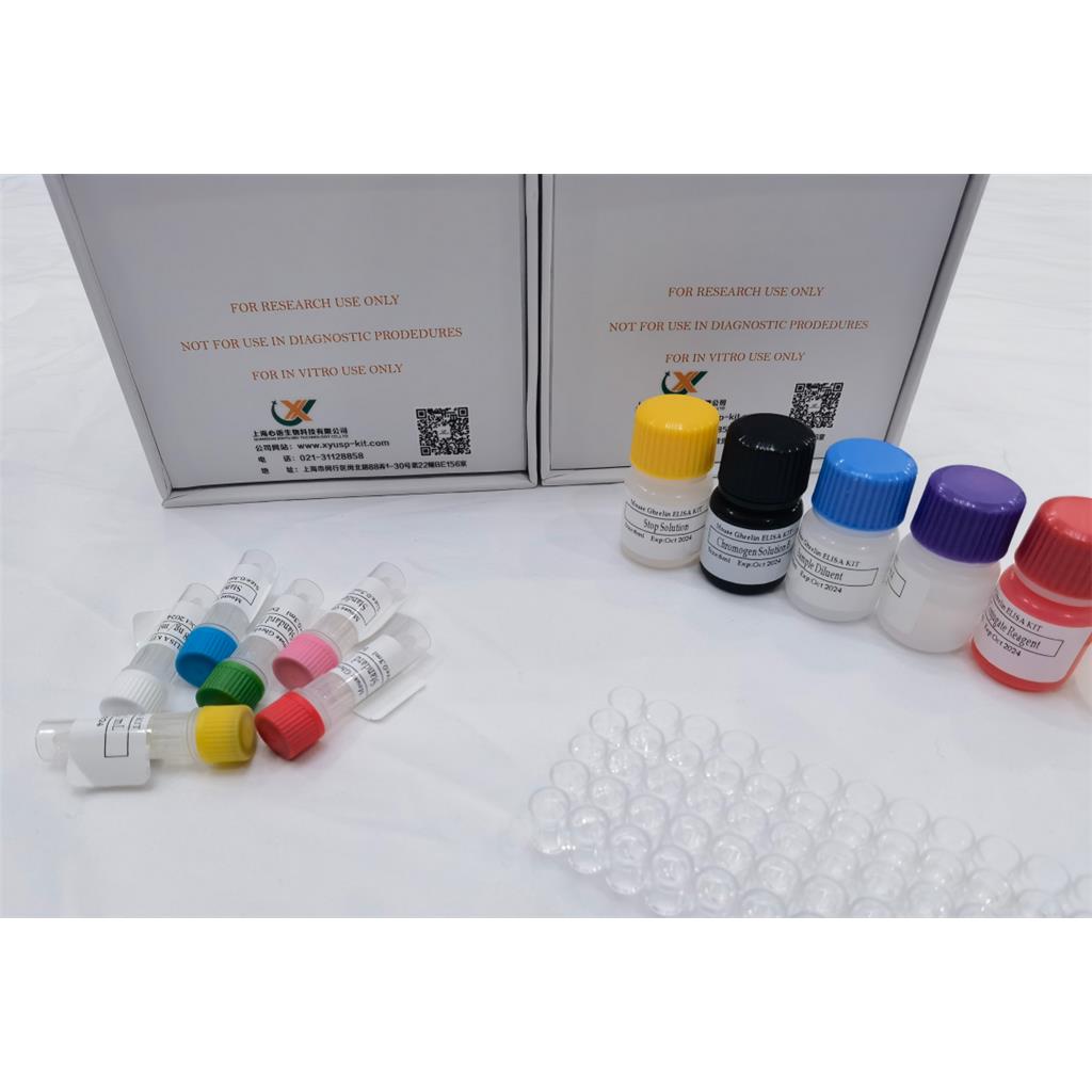 小鼠酪蛋白β(CSN2)ELISA试剂盒,Mouse Csn2 (Beta-casein) QuickTest ELISA Kit