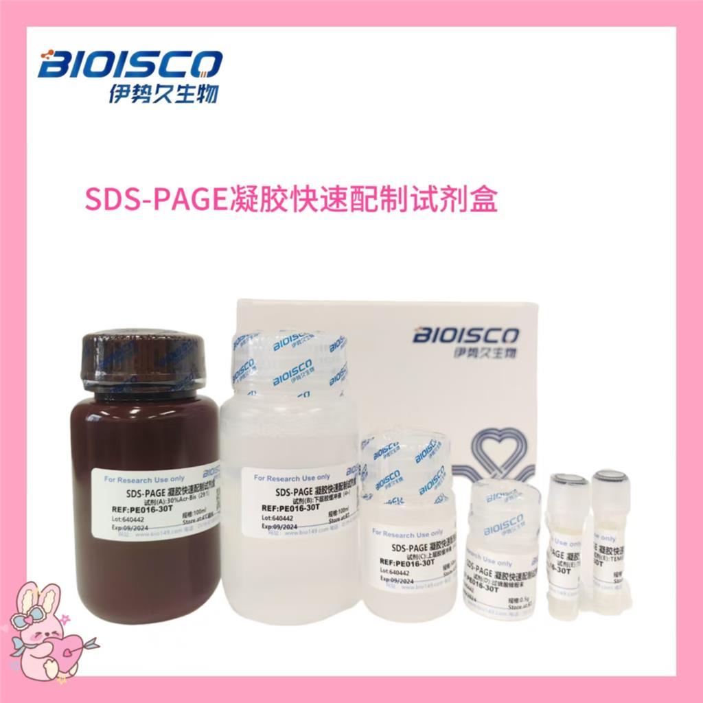 SDS-PAGE凝胶快速配制试剂盒,SDS-PAGE Gel Rapid Preparation Kit