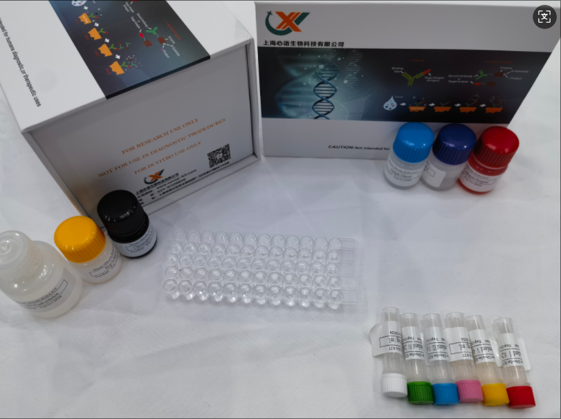 小鼠转铁蛋白 (TF) ELISA试剂盒,Mouse TRF(Transferrin) ELISA Kit