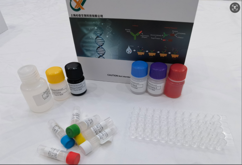 小鼠抵抗素 (RETN) ELISA试剂盒,Mouse RETN(Resistin) ELISA Kit