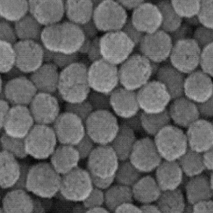PEG修饰银纳米颗粒,PEGylated Silver Nanoparticles