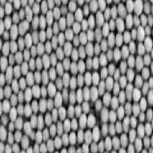 PEI修饰银纳米颗粒,PEI-Coated Silver Nanoparticles