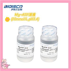 Mg-ATP溶液(10mmol/L,pH7.4)