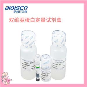 双缩脲蛋白定量试剂盒