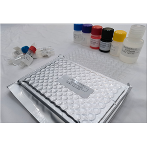 小鼠补体片段3d(C3d)ELISA试剂盒,Mouse C3d(Complement Fragment 3d) ELISA Kit