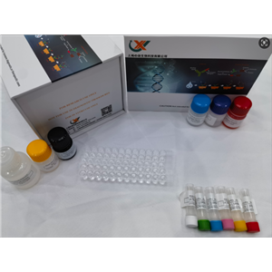 小鼠变肾上腺素 (MN) ELISA试剂盒,Mouse MN(Metanephrine) ELISA Kit