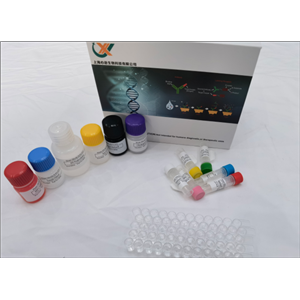 小鼠锰超氧化物歧化酶2 (SOD2) ELISA试剂盒,Mouse SOD2(Superoxide Dismutase 2, Mitochondrial) ELISA Kit