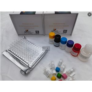 免费代测 小鼠激活素A (ACV-A) ELISA试剂盒,Mouse ACV-A (Activin A) ELISA Kit