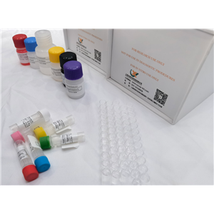 小鼠整合素αM型(ITGαM/CD11b)快速检测ELISA试剂盒