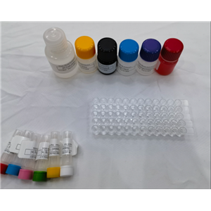 小鼠整合素αM型(ITGαM/CD11b)ELISA试剂盒,Mouse ITGAM (Integrin alpha-M) ELISA Kit