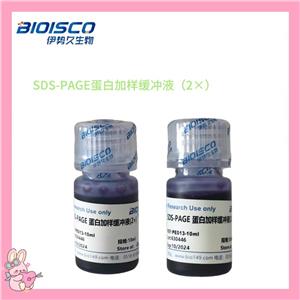 SDS-PAGE蛋白加样缓冲液（2×）