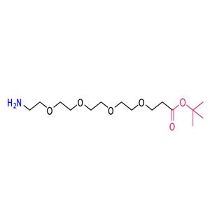 H2N-PEG4-PAtBu