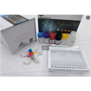 小鼠转铁蛋白 (TF) ELISA试剂盒,Mouse TRF(Transferrin) ELISA Kit