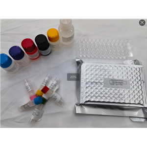 小鼠前列腺素F2α (PGF2α) ELISA试剂盒,Mouse PGF2α(Prostaglandin F2 Alpha) ELISA Kit