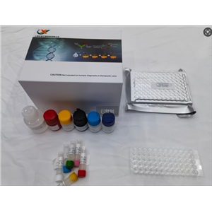 小鼠前列腺素F2α (PGF2α) ELISA试剂盒,Mouse PGF2α(Prostaglandin F2 Alpha) ELISA Kit