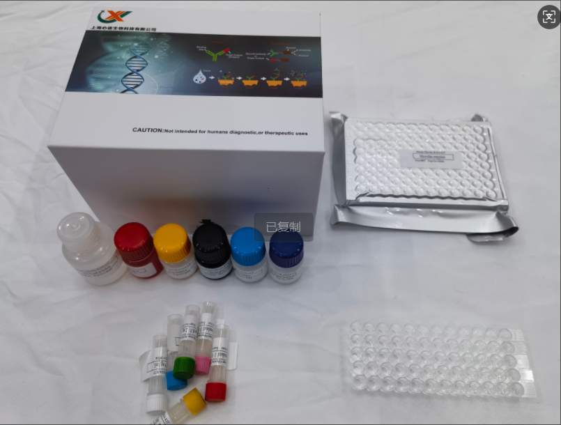 小鼠趋化因子21(CCL21/6Ckine)ELISA试剂盒,Mouse CCL21/6Ckine (C-C motif chemokine 21) ELISA Kit