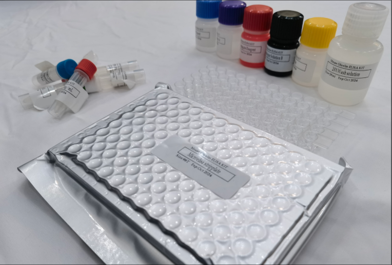 小鼠钠通道蛋白 (SCN9A) ELISA试剂盒,Mouse SCN9A(Sodium channel protein)ELISA Kit