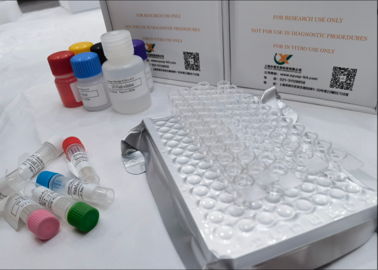 小鼠溶质转运家族8成员2 (SLC8A2) ELISA试剂盒,Mouse Slc18a2(Solute Carrier Family 18,Member 2) ELISA Kit