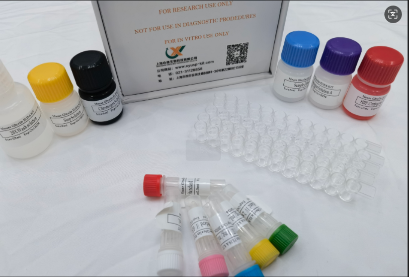 小鼠白细胞衍生趋化因子2 (LECT2) ELISA 试剂盒,Mouse LECT2(Leukocyte cell-derived chemotaxin-2)ELISA Kit