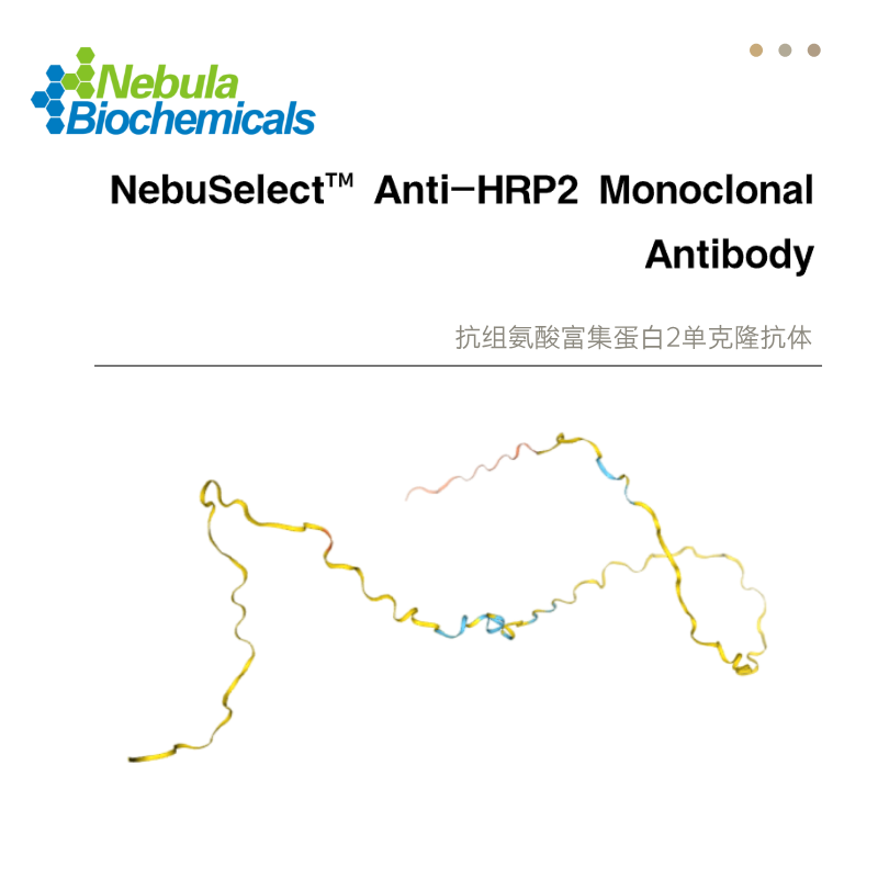 抗组氨酸富集蛋白2抗体