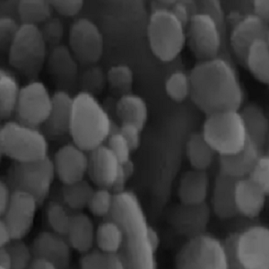 纳米铑20nm,Rhodium Nanoparticles