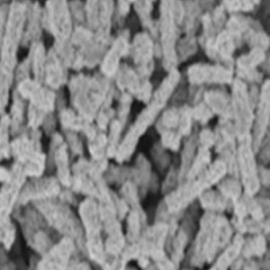 二硫化钼纳米片,Molybdenum Disulfide Nanosheets