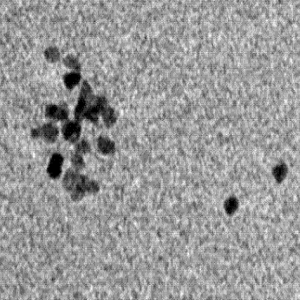 铂纳米颗粒,Platinum Nanoparticles