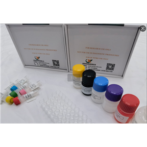 小鼠血管生成素样蛋白6(ANGPTL6)ELISA试剂盒,Mouse ANGPTL6 (Angiopoietin Like Protein 6) ELISA Kit