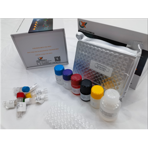 小鼠抗肿瘤坏死因子α(TNF-α)抗体ELISA试剂盒,Mouse Anti-TNF-α (Tumor Necrosis Factor Alpha) Antibody ELISA Kit