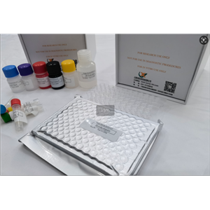 小鼠水通道蛋白4 (AQP-4) ELISA试剂盒,Mouse AQP-4(Aquaporin-4) ELISA Kit