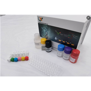 小鼠水通道蛋白4 (AQP-4) ELISA试剂盒,Mouse AQP-4(Aquaporin-4) ELISA Kit