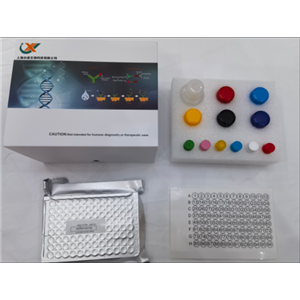 小鼠脂蛋白脂酶 (LPL) ELISA试剂盒,Mouse Lpl(Lipoprotein lipase) ELISA Kit