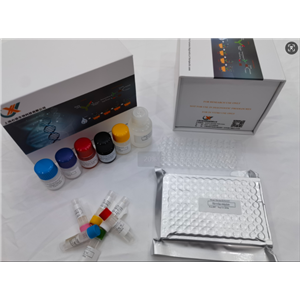 小鼠脂蛋白脂酶 (LPL) ELISA试剂盒,Mouse Lpl(Lipoprotein lipase) ELISA Kit