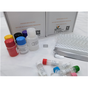 小鼠生长停滞特异性蛋白6 (Gas6) ELISA试剂盒,Mouse GAS6(Growth Arrest Specific Protein 6) ELISA Kit