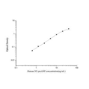 人氨基端前心钠肽(NT-proANP)ELISA试剂盒 YB74311Hu,NT-proANP