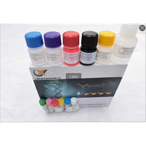 免费代测 小鼠细胞凋亡相关斑点样蛋白 (PYCARD) ELISA试剂盒,Mouse Pycard(Apoptosis-associated speck-like protein containing a CARD) ELISA Kit