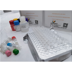 小鼠溶质转运家族8成员2 (SLC8A2) ELISA试剂盒,Mouse Slc18a2(Solute Carrier Family 18,Member 2) ELISA Kit