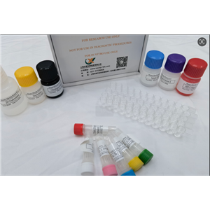 小鼠铁调素25 (Hepc25) ELISA试剂盒